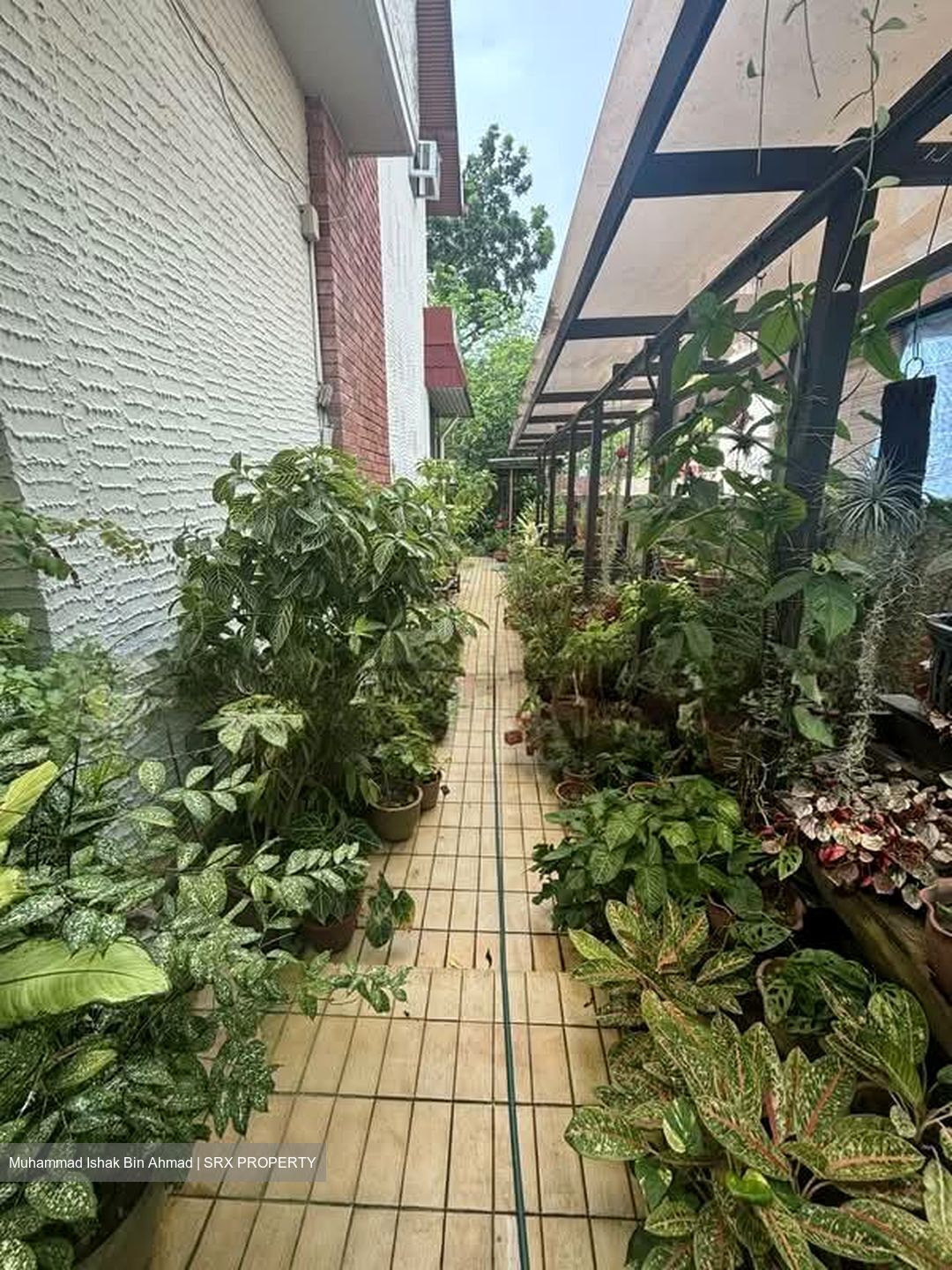 East Coast Avenue (D15), Detached #582356051